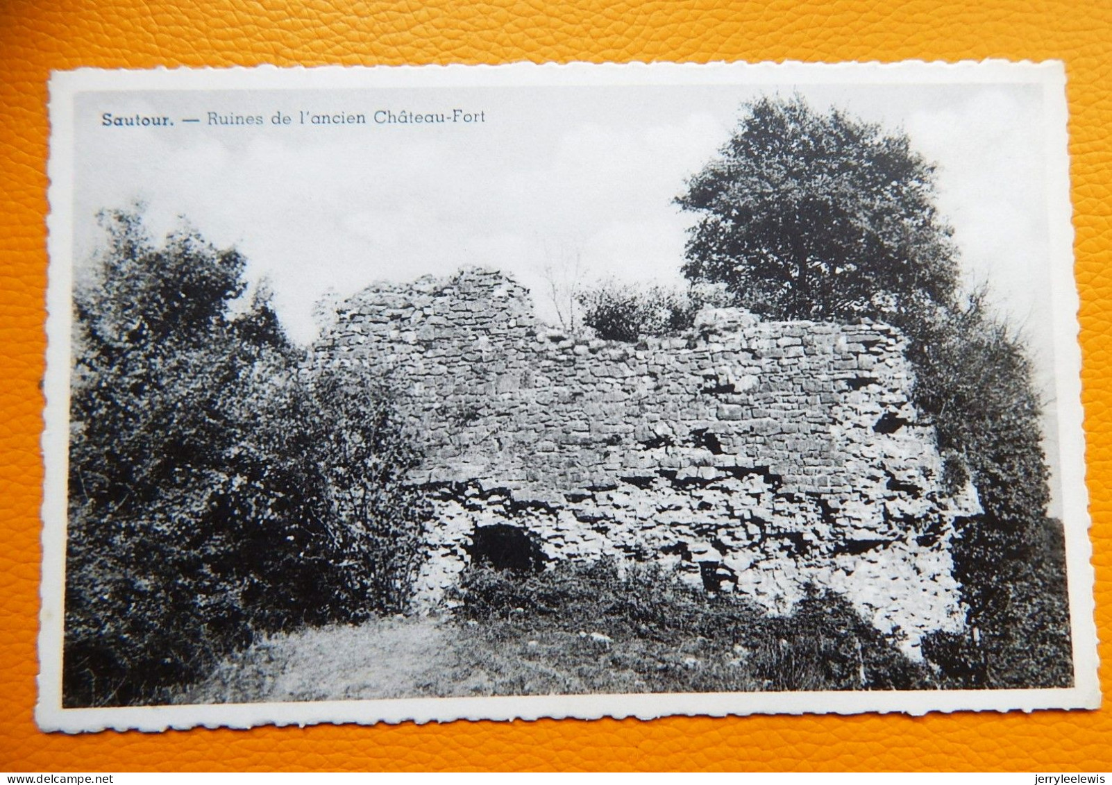 SAUTOUR -  Ruines De L'ancien Château - Philippeville