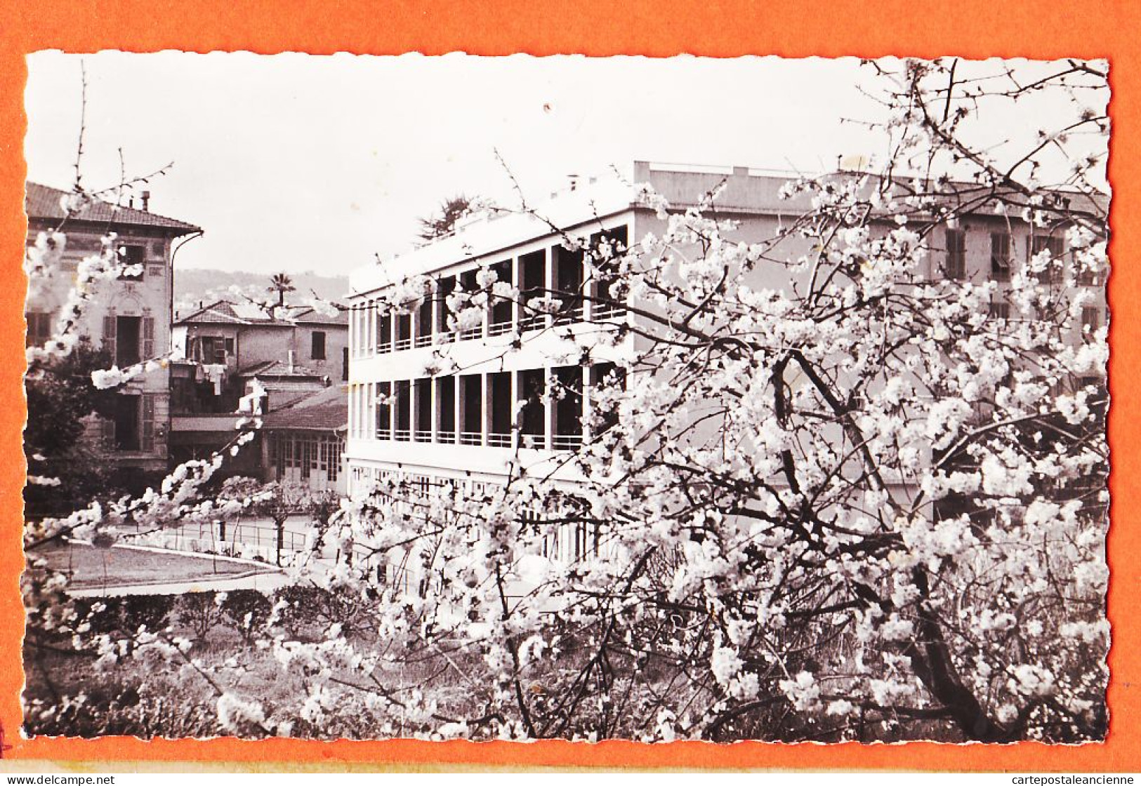 03507 / NICE Pavillon NOTRE-DAME N-D Foyer SAINT-DOMINIQUE Repos Convalescence Avenue ACACIAS 1950s Photo-Bromure - Health, Hospitals