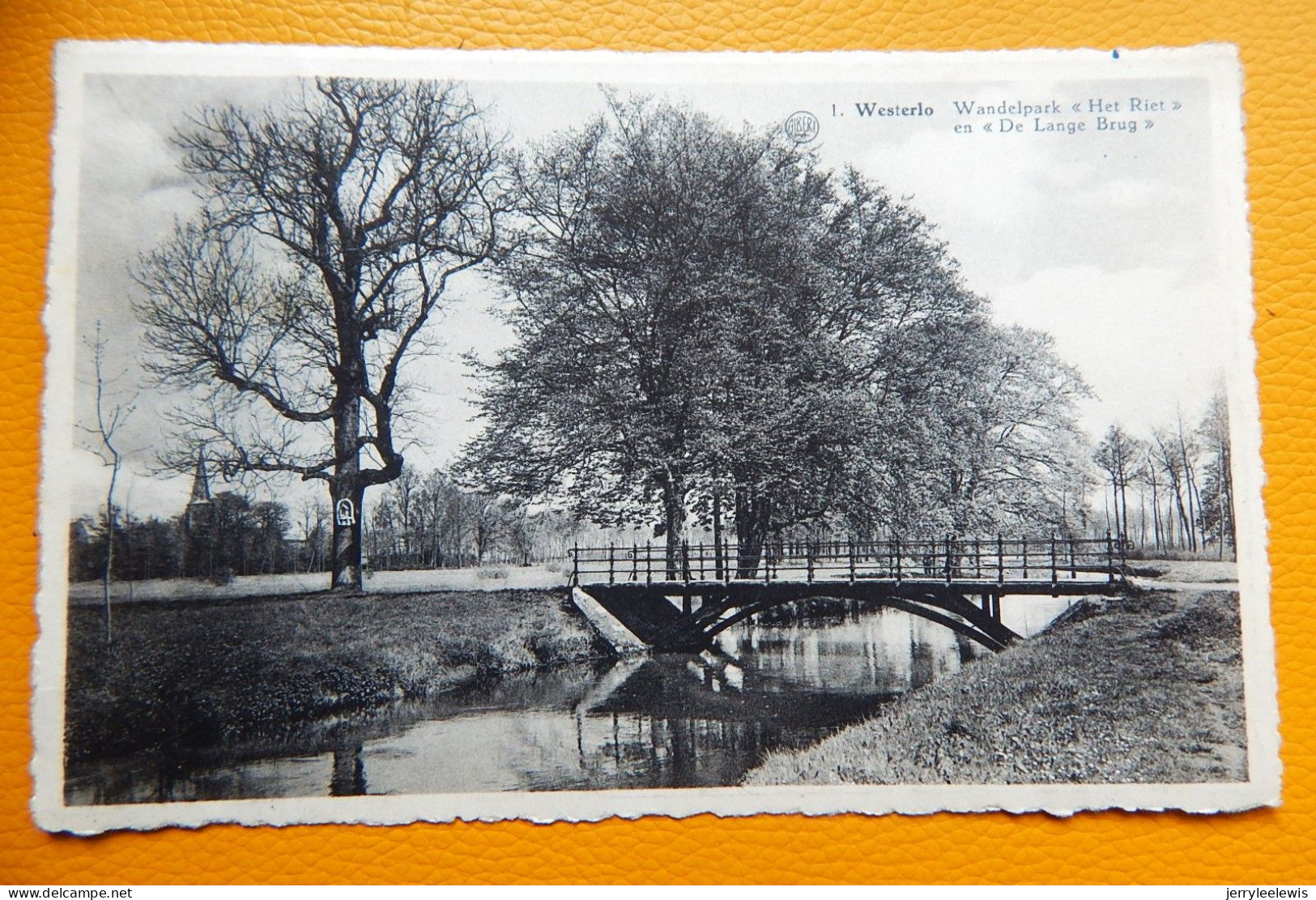 WESTERLO  -  Wandelpark " Het Riet "  En " De Lange Brug " - Westerlo