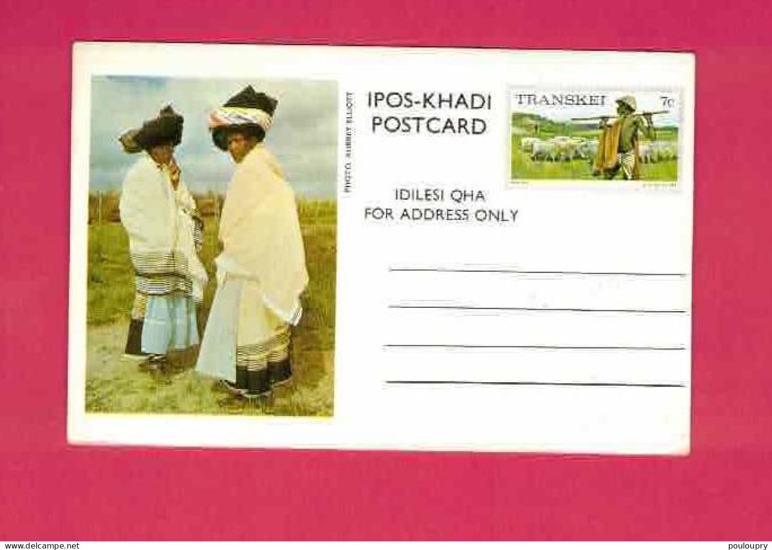 CP Entier Postal à 3c - Treshing Sorghum - Battage Du Sorgho - Transkei