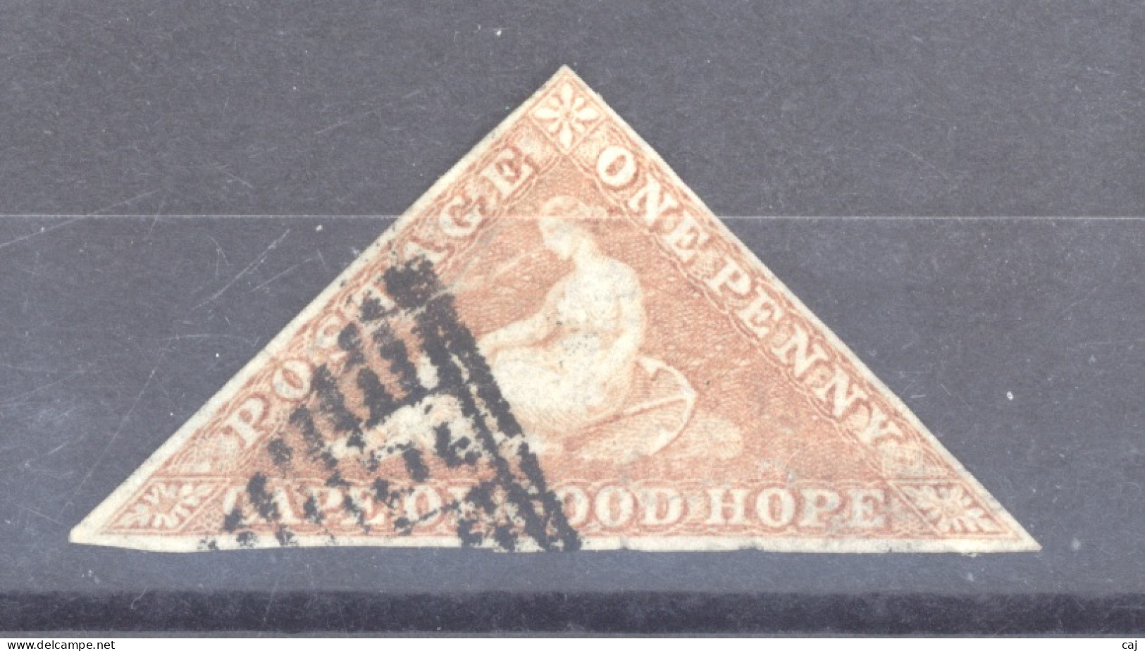 Cap De Bonne Espérance  :  Yv  1  (o)  Papier Bleuté - Cape Of Good Hope (1853-1904)