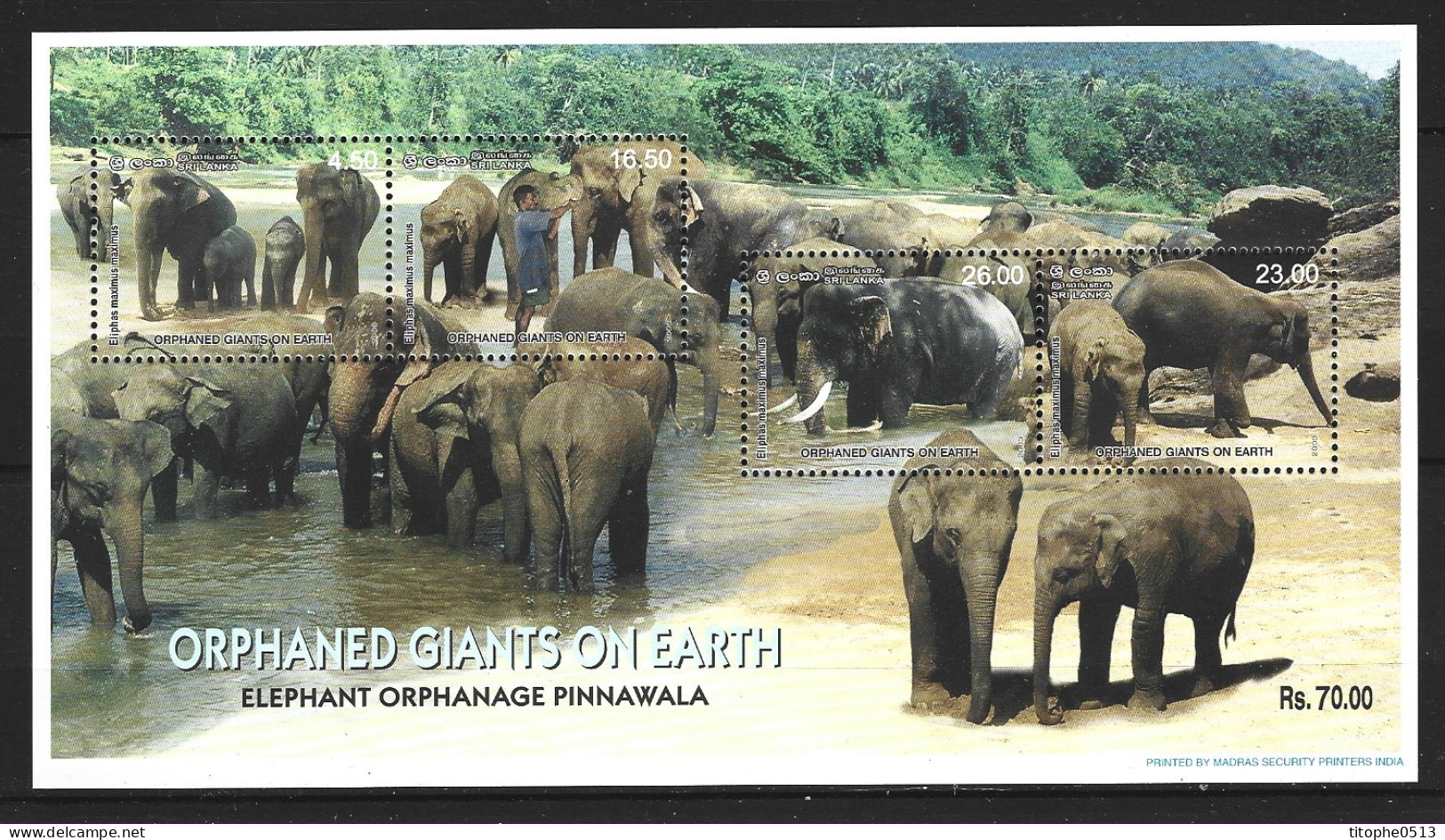 SRI LANKA. BF 82 De 2003. Eléphants. Some Yellow Spots On The Gum/Quelques Rousseurs Sur La Gomme. - Elefantes