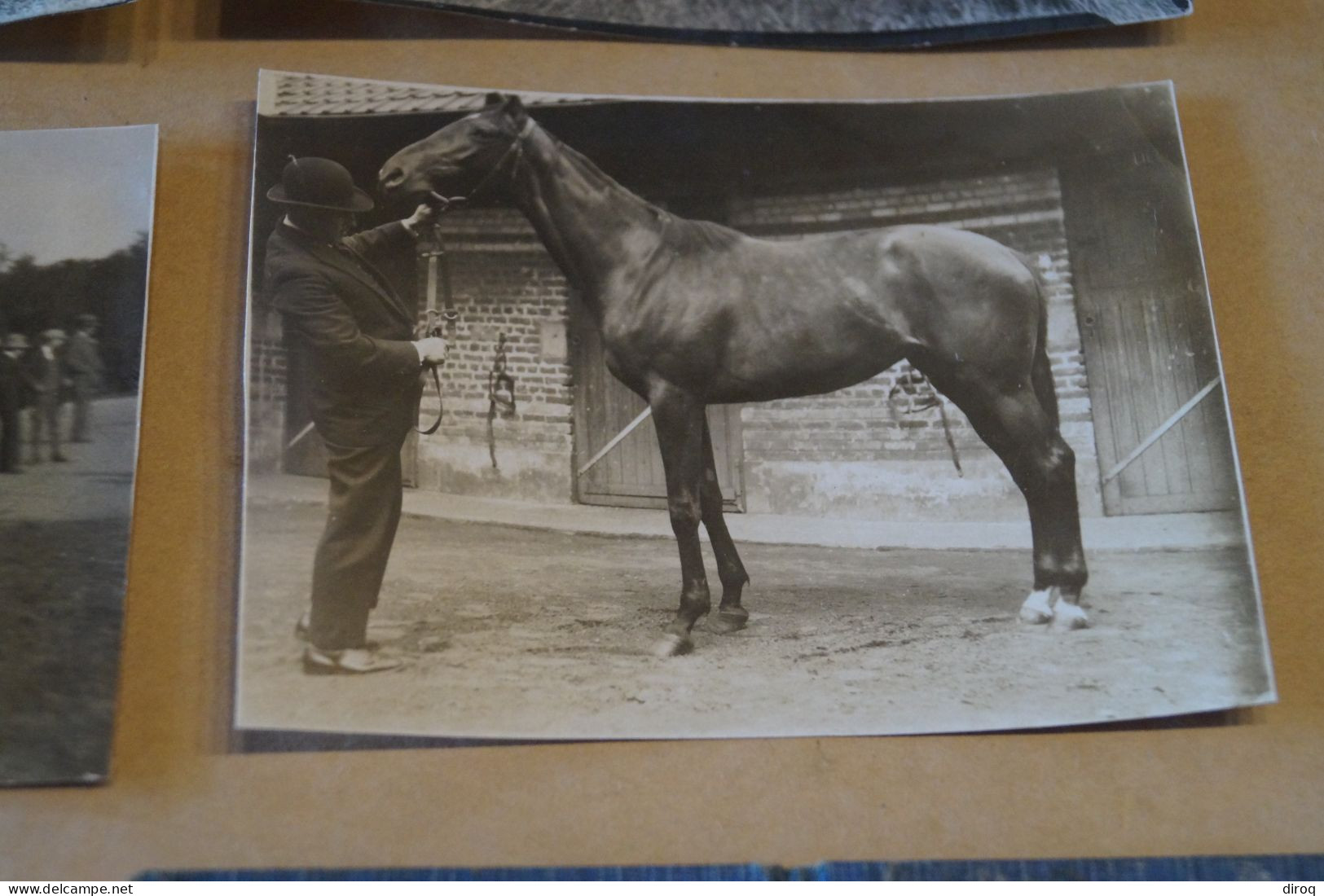 Hippisme,sport Hippique,lot De 5 Photos Originales + Carte D'entraineur,original 1932 - Sports