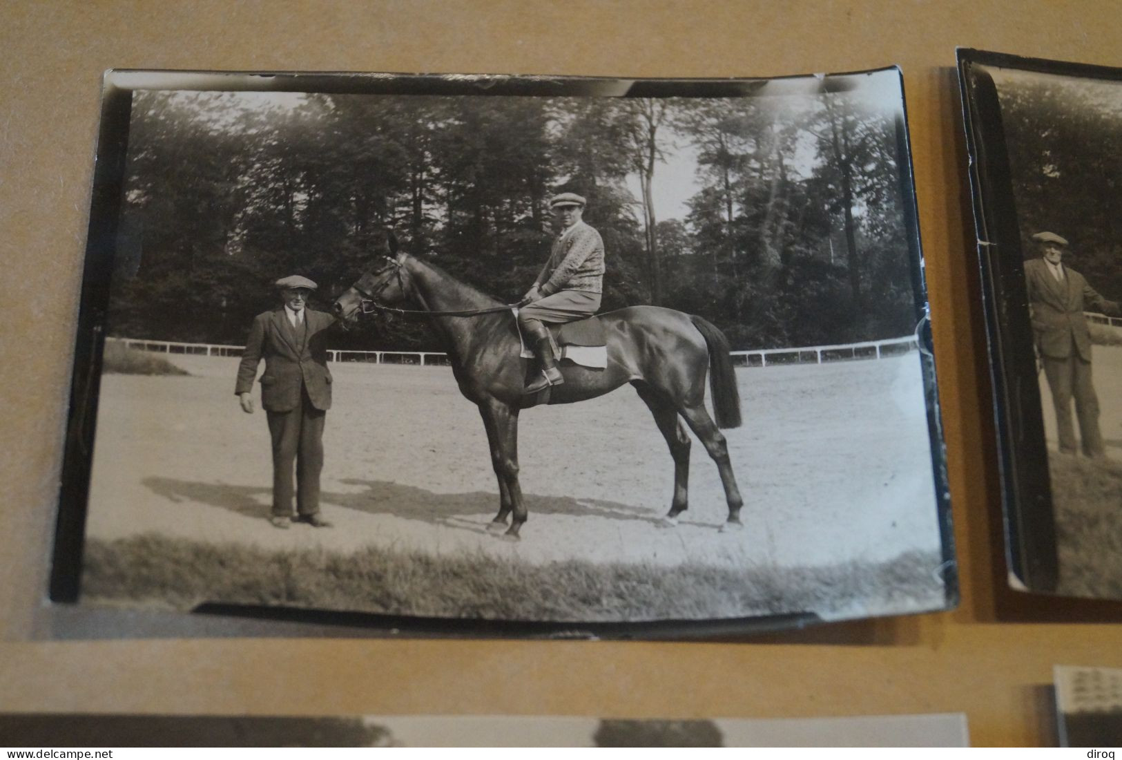 Hippisme,sport Hippique,lot de 5 photos originales + carte d'entraineur,original 1932