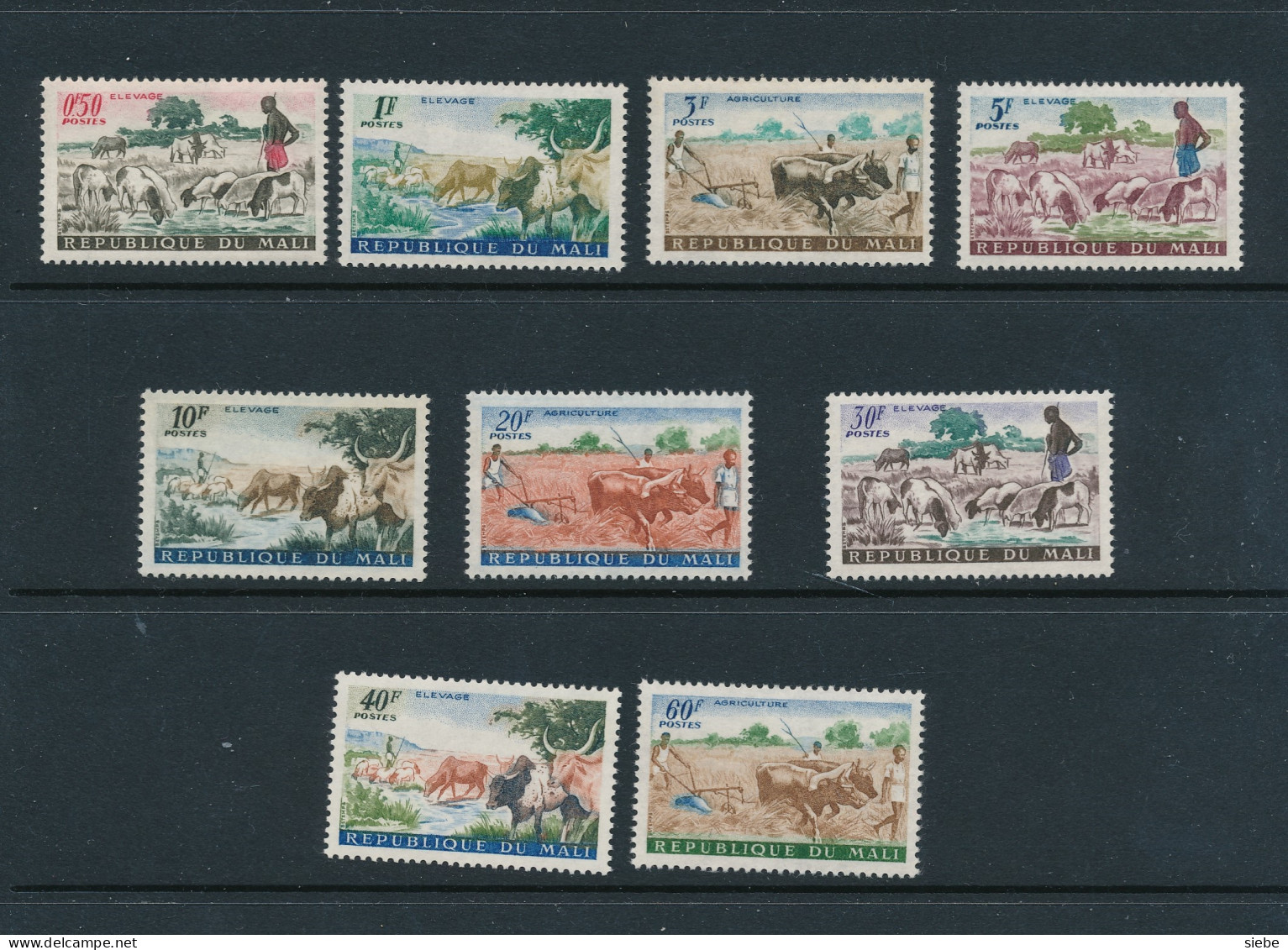 Mali – Agriculture, Animaux De Ferme - MNH - Vaches