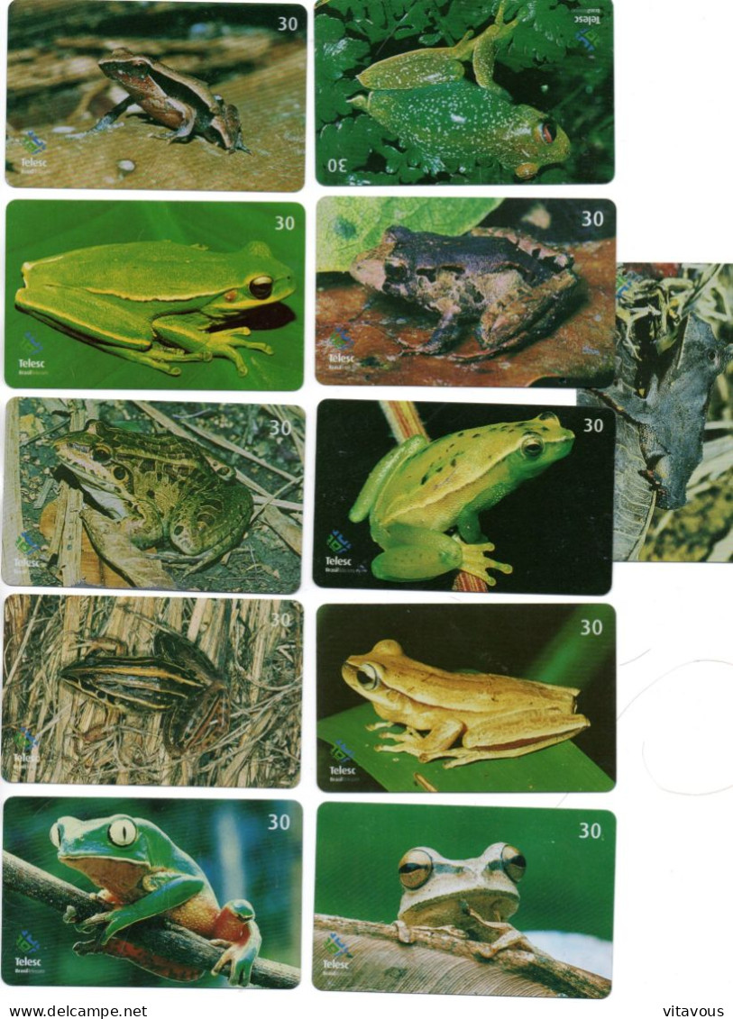 Série 11 Télécartes Brésil Grenouille Frog  Télécarte Phonecard  (G 1080) - Brasilien