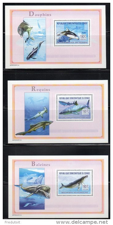 CONGO - 3 BLOCS  N°245/7  **  (2003) FAUNE MARINE - Ungebraucht