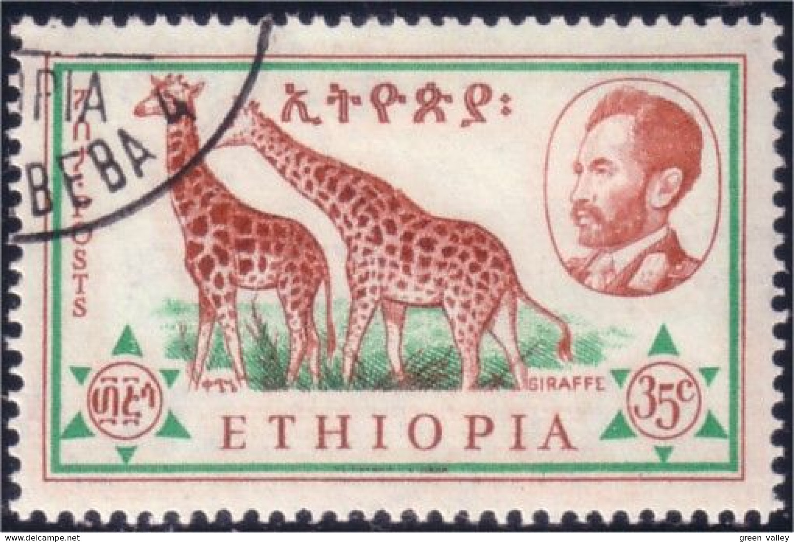 324 Ethiopie Girafe Giraffe Girafen (ETH-275) - Jirafas