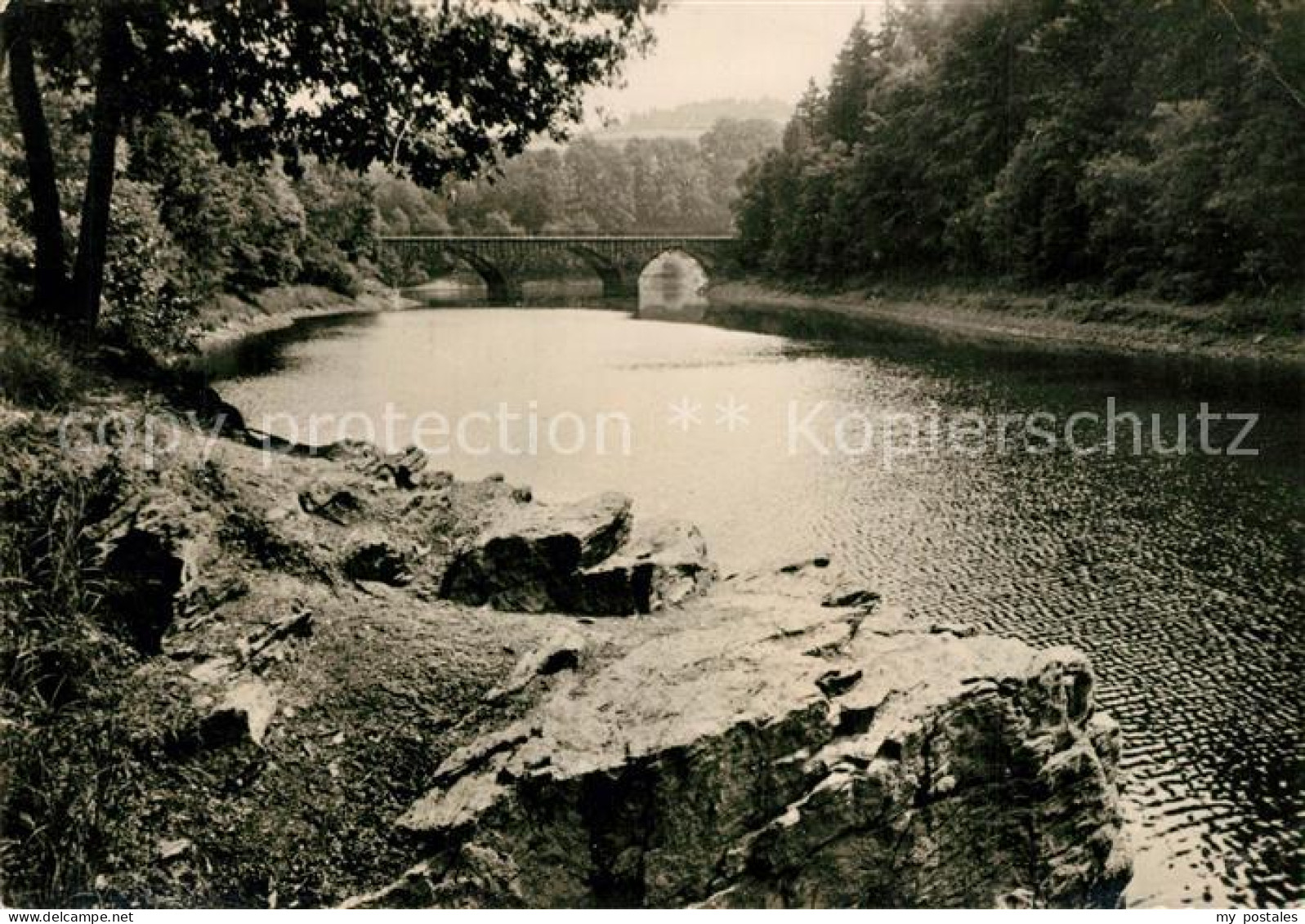 73277175 Dippoldiswalde Osterzgebirge Taennichtgrund Dippoldiswalde - Dippoldiswalde