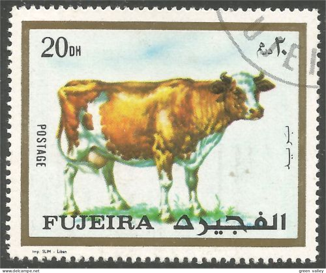 400 Fujeira Vache Cow Vaca Kuh Koe Mucca Vacca (FUJ-15) - Cows