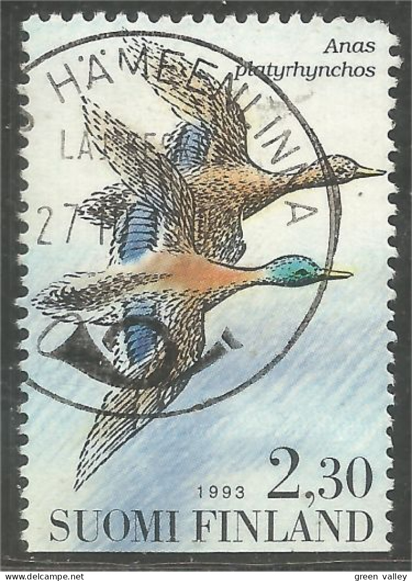 396 Finland 1993 Oiseau Bird HAMEENLINNA Canard Duck Ente Anatra Pato Eend (FIN-181b) - Usados