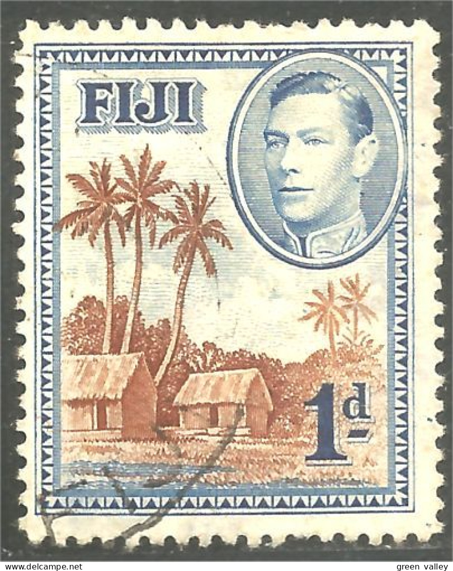 394 Fiji Village Palm Tree Palmier Cocotier Coconut (FIJ-48) - Fidji (...-1970)