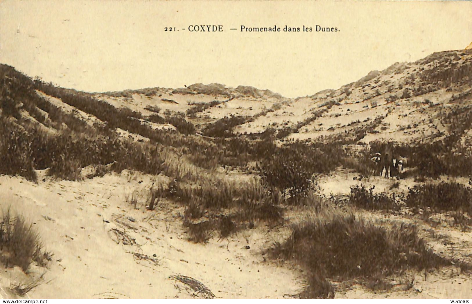 Belgique - Flandre Occidentale - Koksijde - Coxyde - Promenade Dans Les Dunes - Koksijde