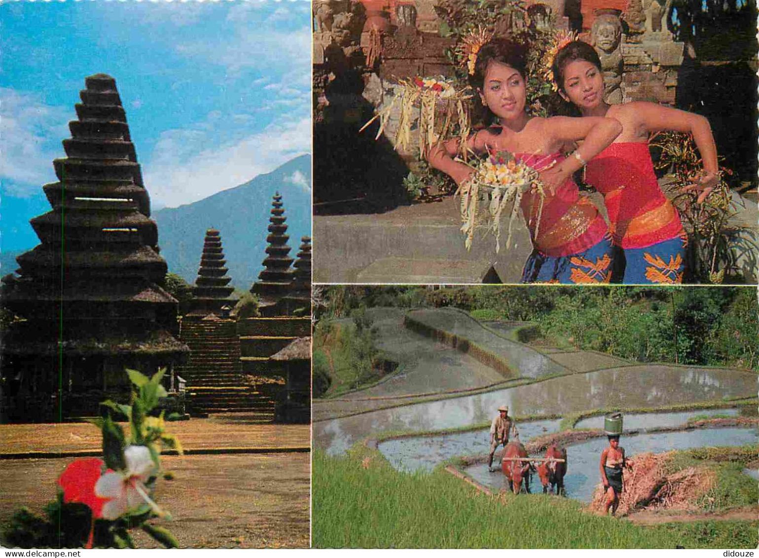 Indonésie - Bali - Multivues - Folklore - Scène Et Types - CPM - Voir Scans Recto-Verso - Indonesië