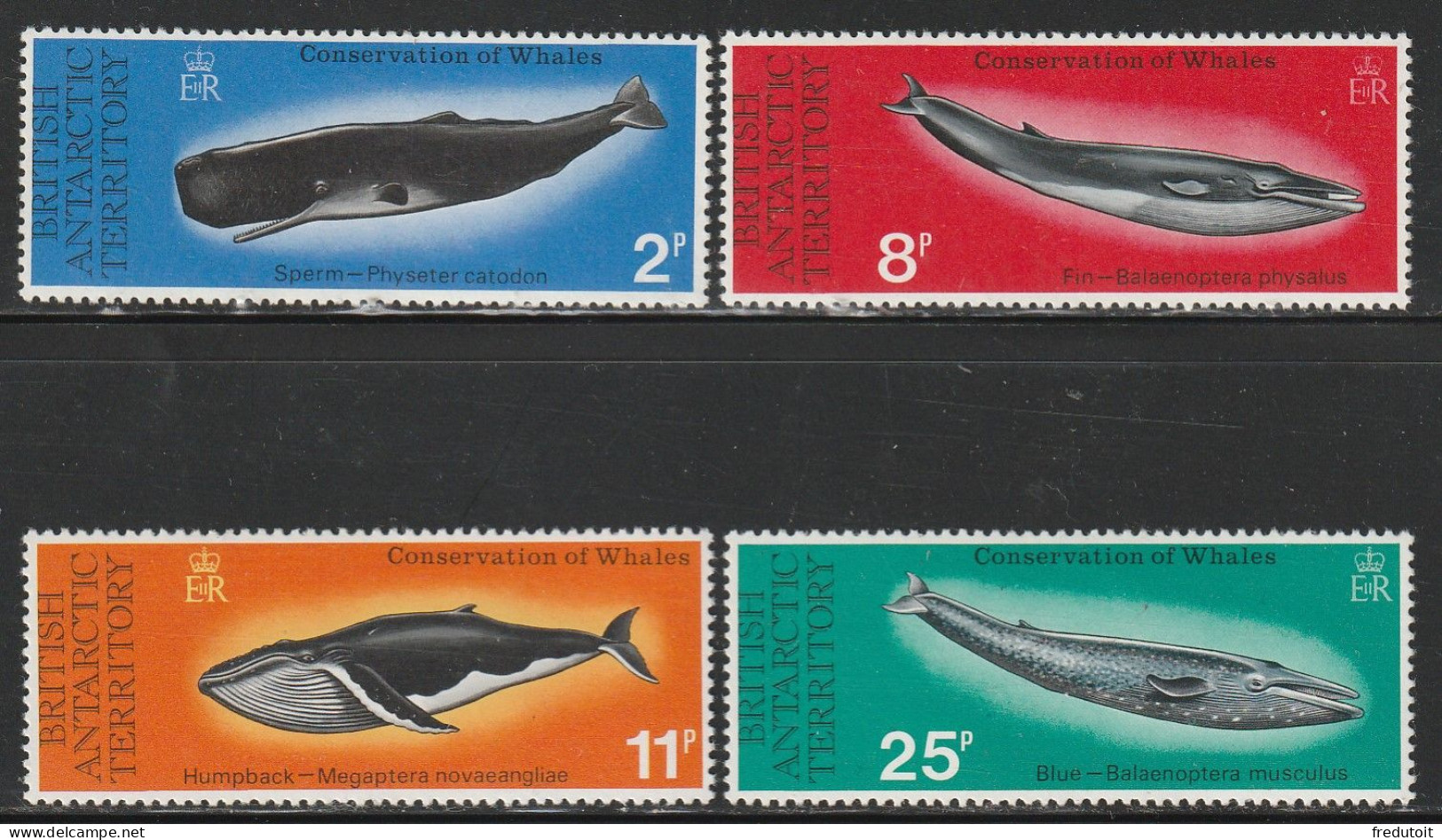 TERRITOIRE ANTARCTIQUE BRITANNIQUE - N°64/7 ** (1977) Cétacés - Ongebruikt