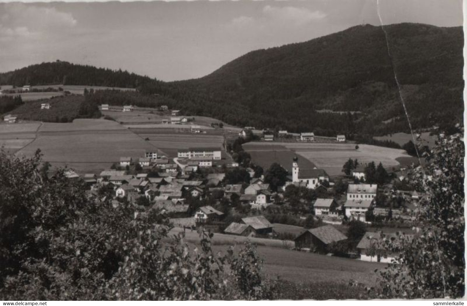 113426 - Rimbach - Ansicht - Cham