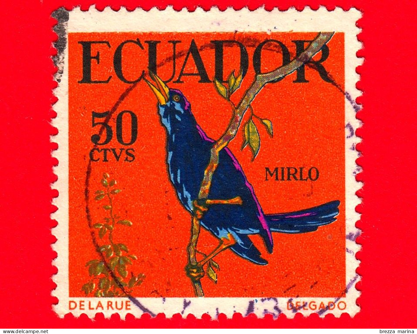 ECUADOR - Usato - 1958 - Uccelli Tropicali - Cacicco Nero Solitario - 50 - Equateur