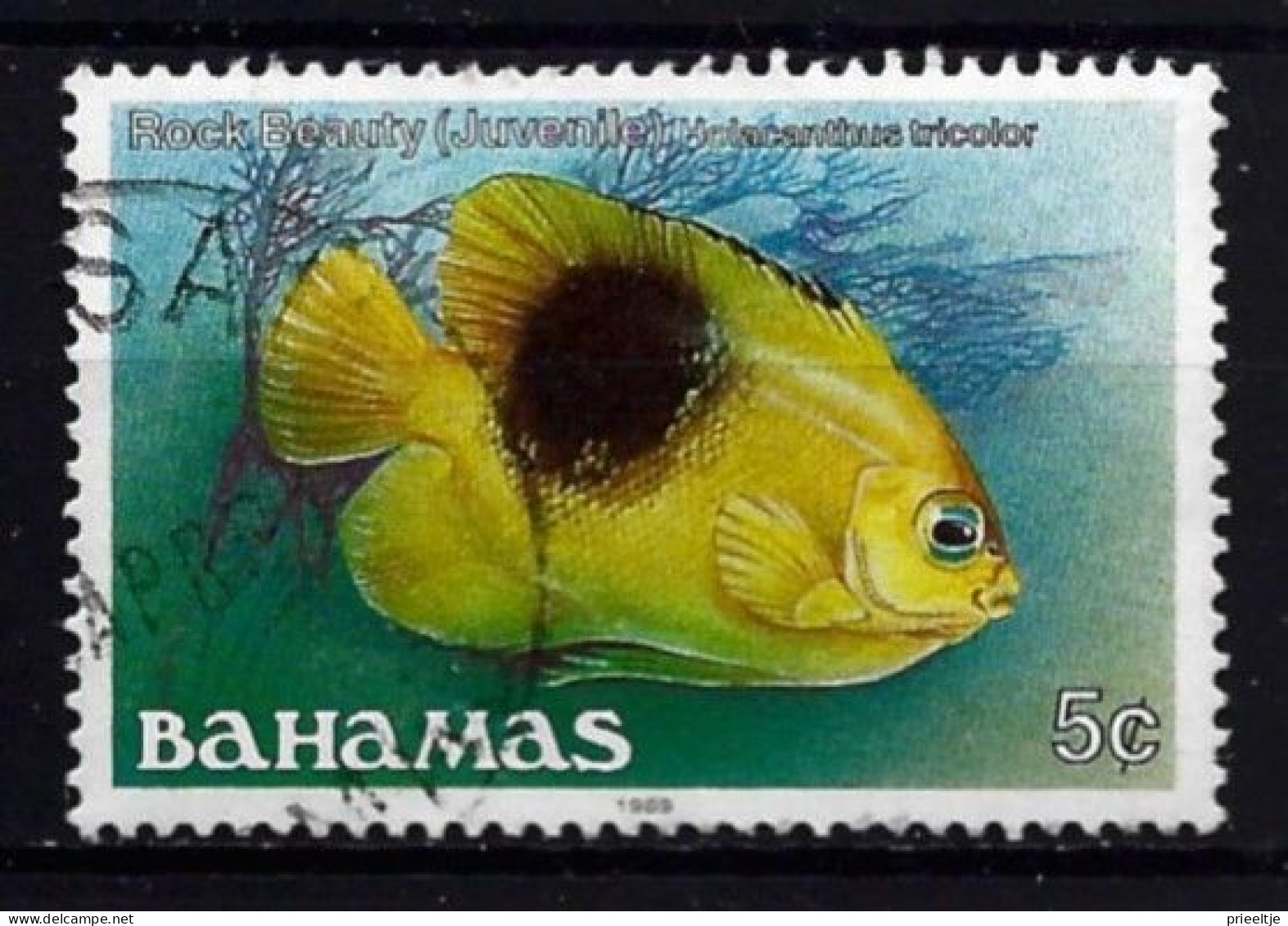 Bahamas 1986 Fish  Y.T. 602 (0) - Bahamas (1973-...)