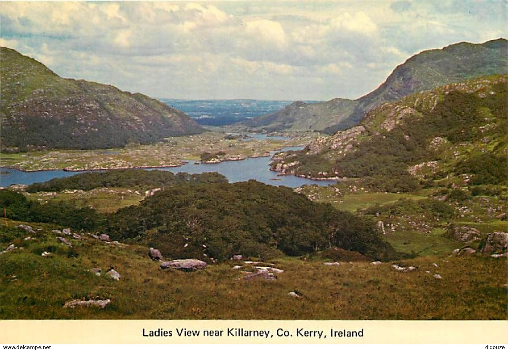 Irlande - Kerry - Killarney - Ladies View Near Killamey - Ireland - CPM - Voir Scans Recto-Verso - Kerry