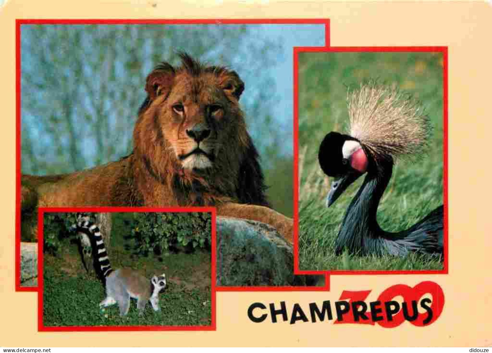 Animaux - Fauves - Lion - Villedieu Les Poeles - Parc Zoologique De Champrepus - Multivues - Grue Couronnée - Maki-catta - Leoni