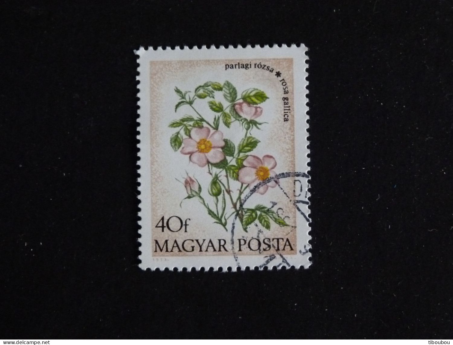 HONGRIE HUNGARY MAGYAR YT 2322 OBLITERE - FLEUR FLORE FLOWER / ROSE SAUVAGE - Oblitérés