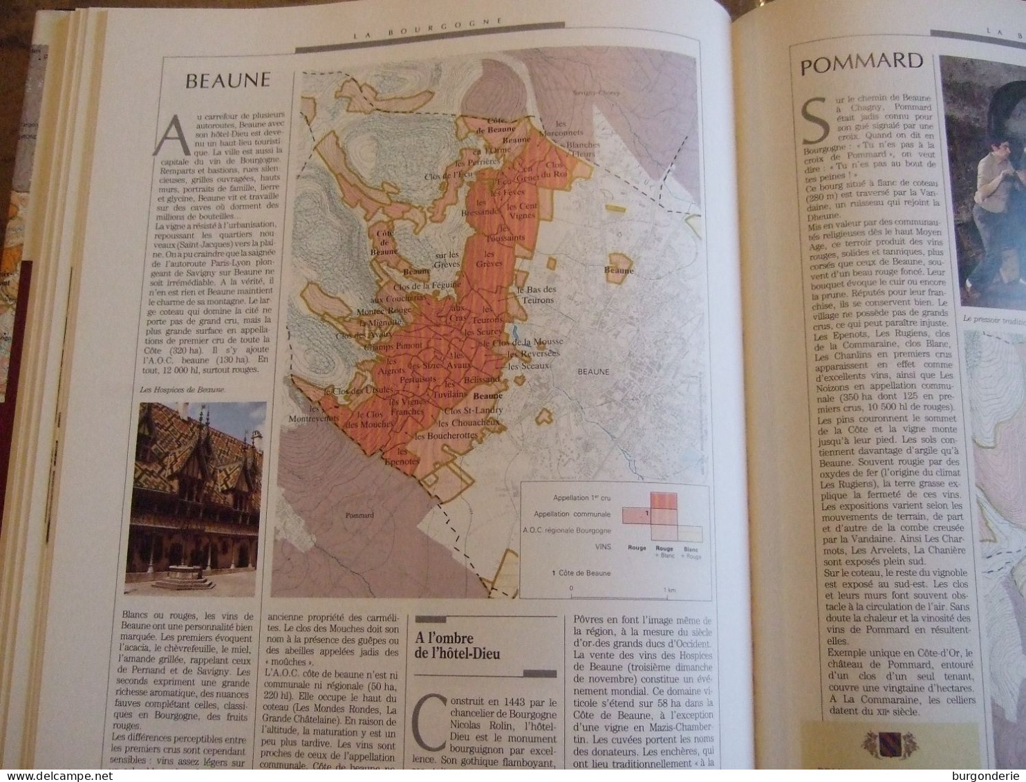 ATLAS / LES VINS DE FRANCE / HACHETTE  / 1989