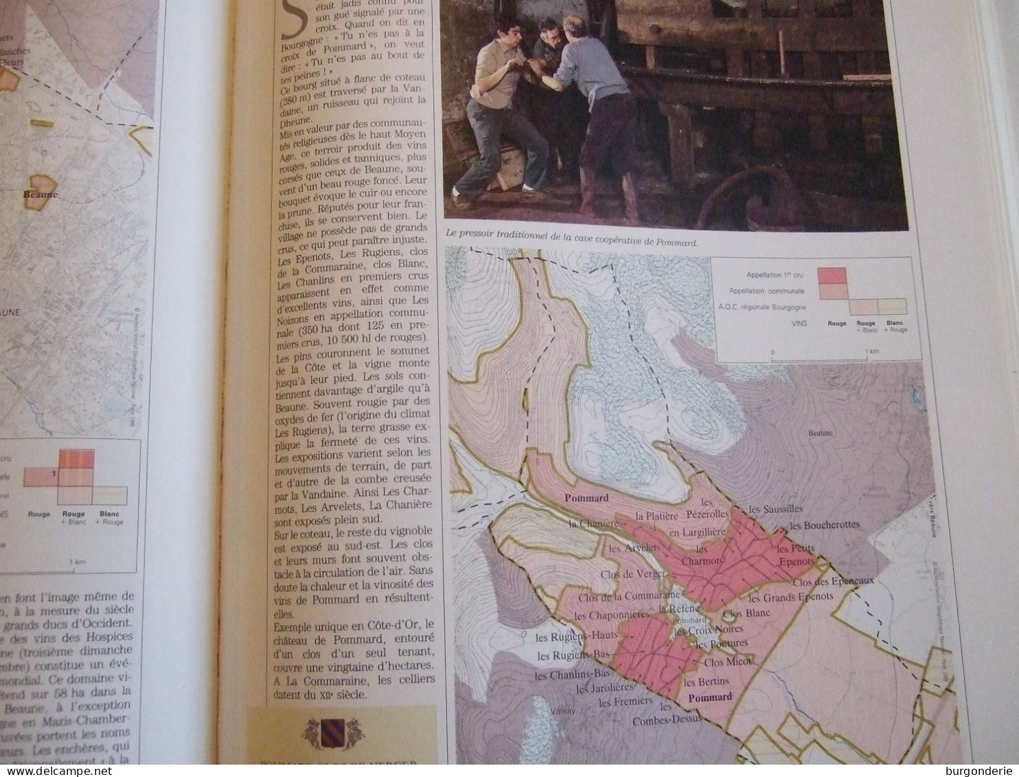 ATLAS / LES VINS DE FRANCE / HACHETTE  / 1989