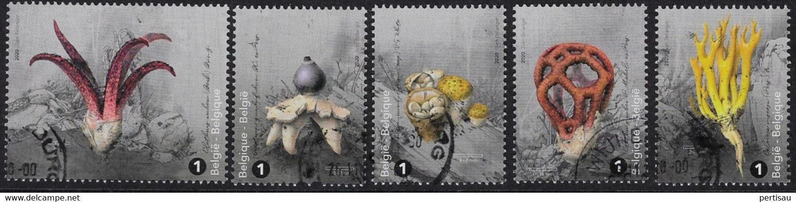 Paddestoelen 2020 - Used Stamps
