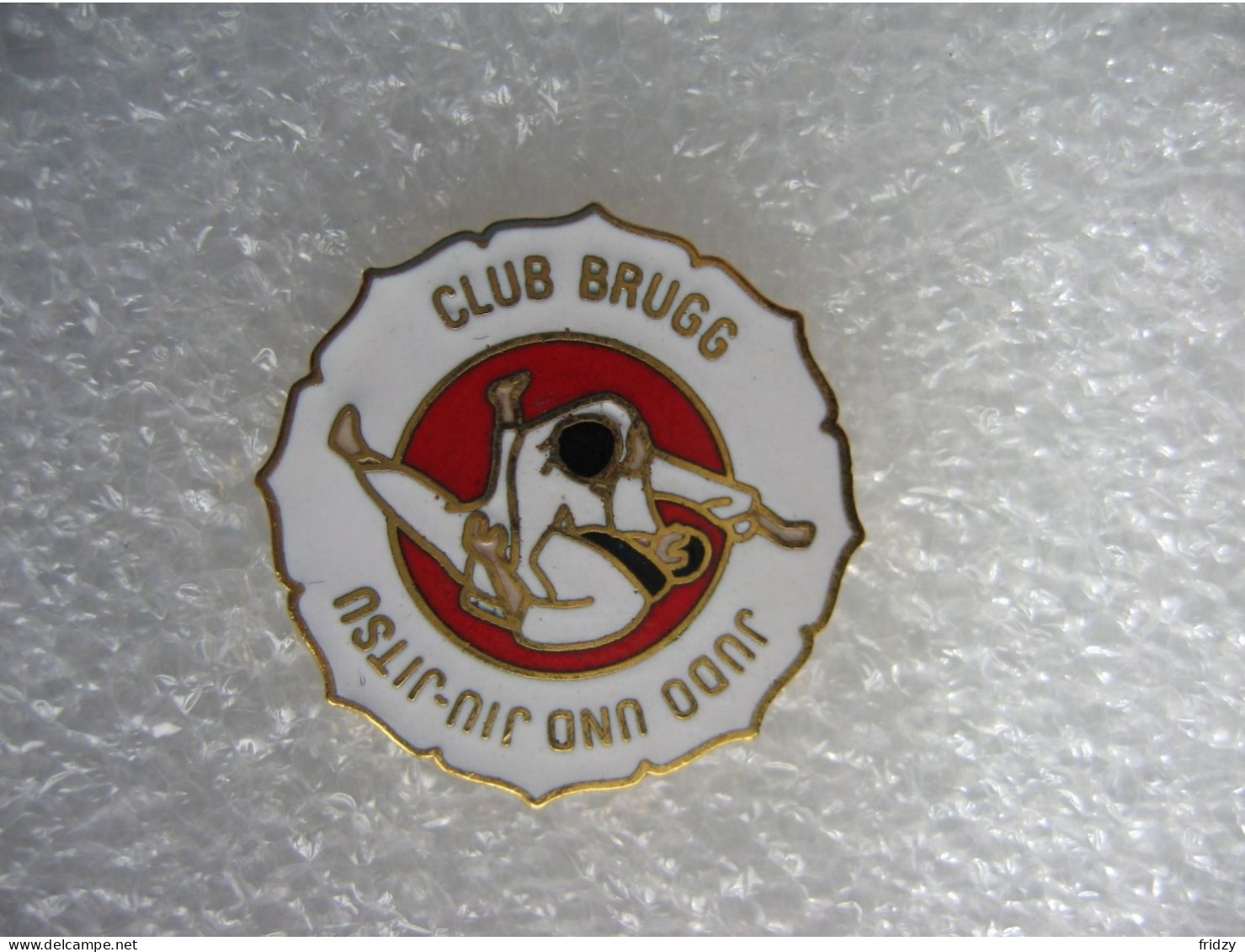 Pin's Du Club De Judo Et Jiu-jitsu De La Ville De BRUGG - Judo