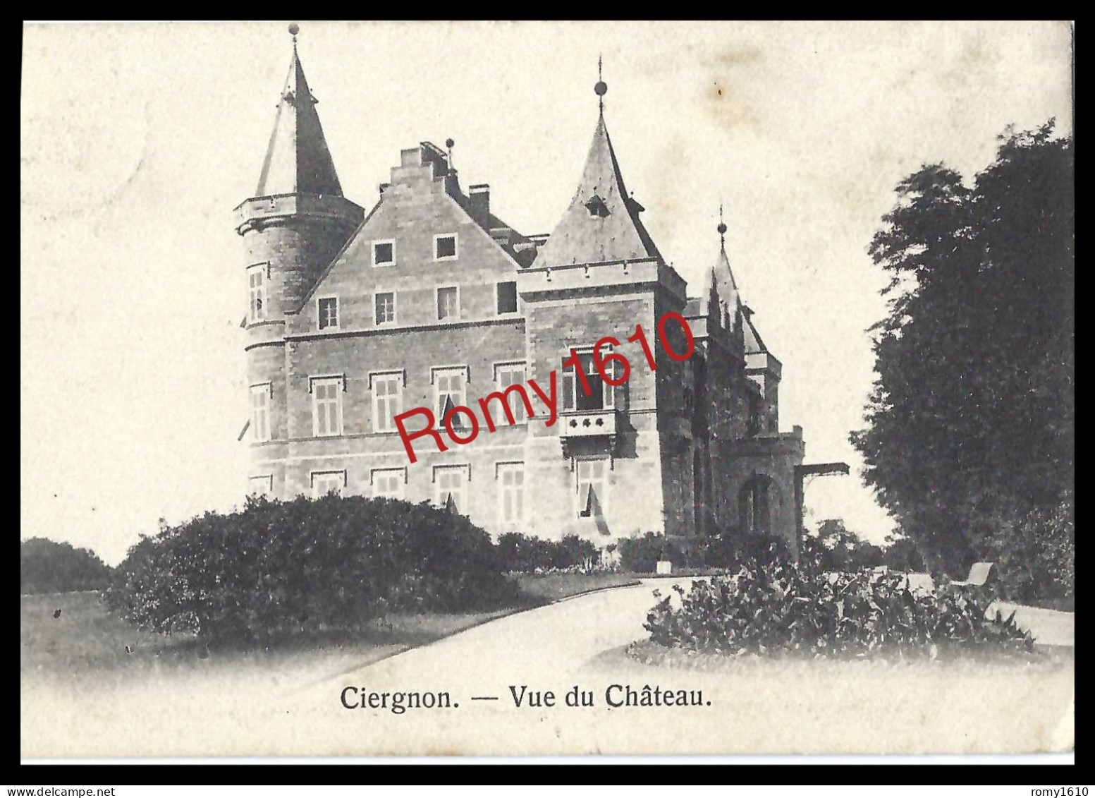 Ciergnon :  Houyet.   Château Royal En 1908. 2 Scans - Houyet