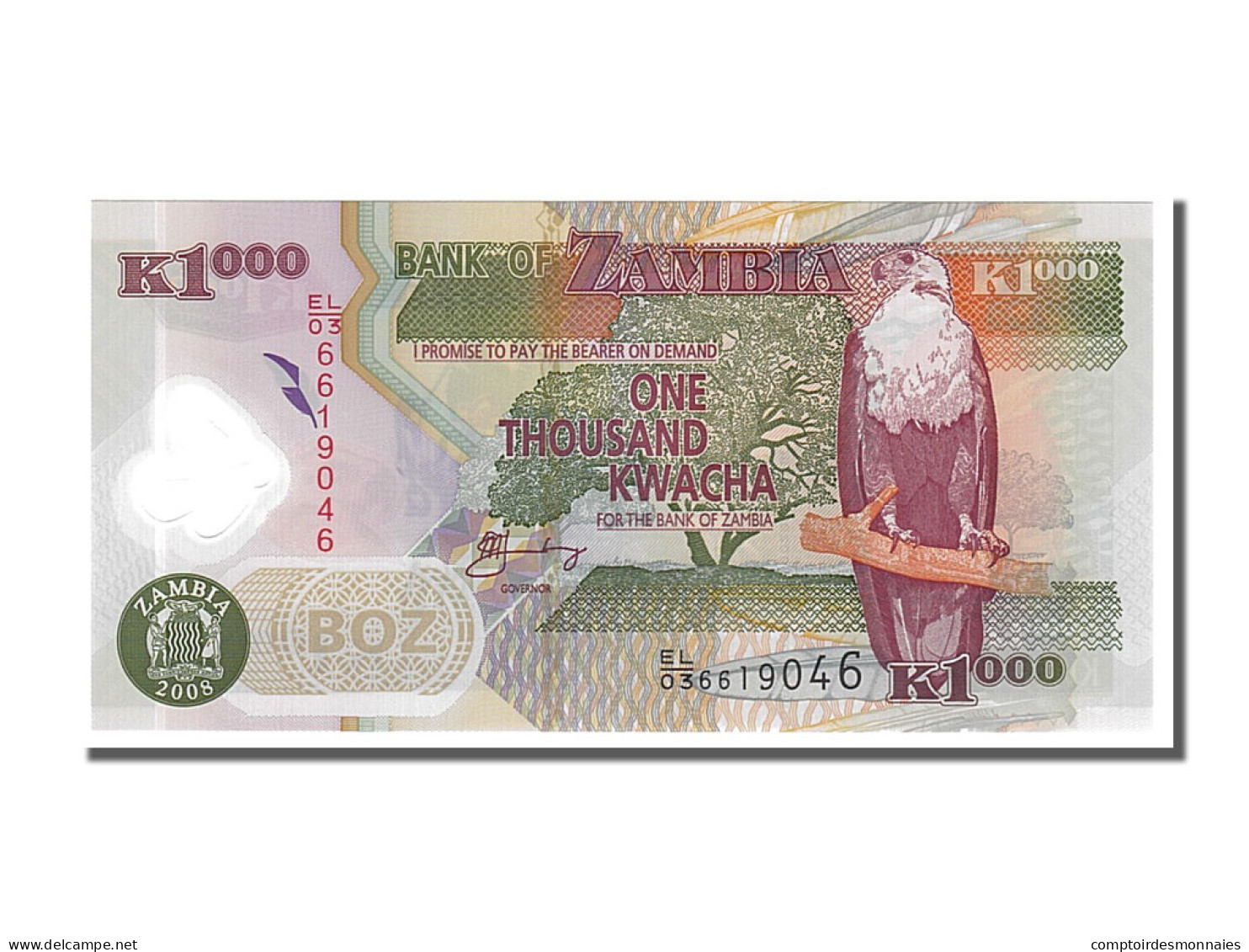 Billet, Zambie, 1000 Kwacha, 2008, NEUF - Zambia