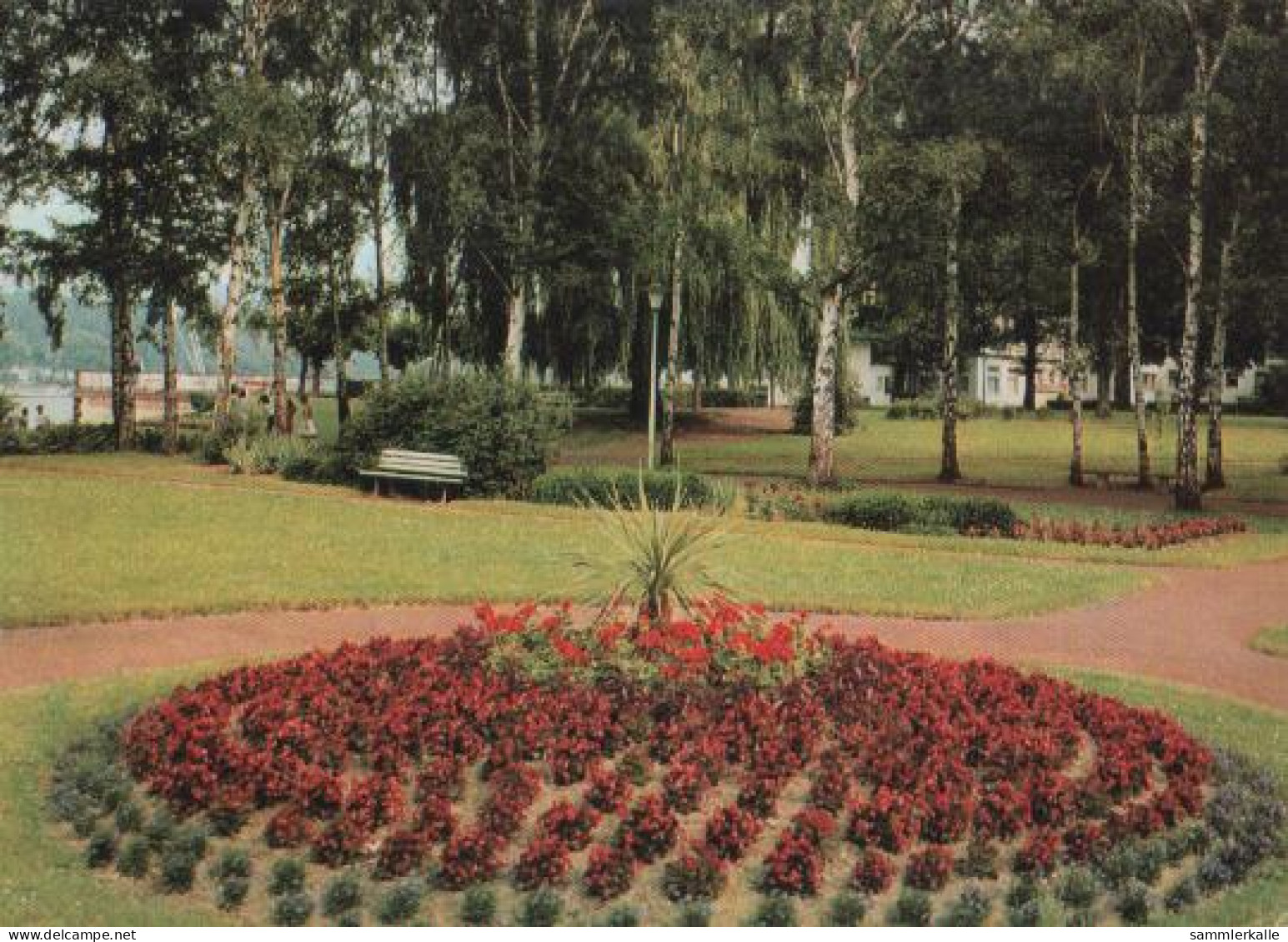 18478 - Bad Breisig - Rhein. Kurpark - 1970 - Bad Breisig