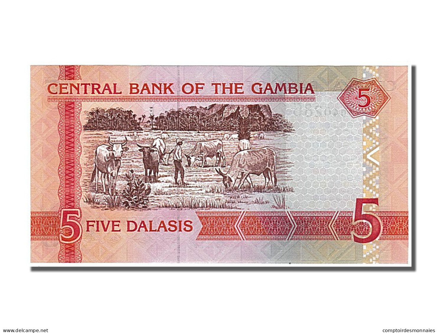 Billet, Gambia, 5 Dalasis, 2001, NEUF - Gambia