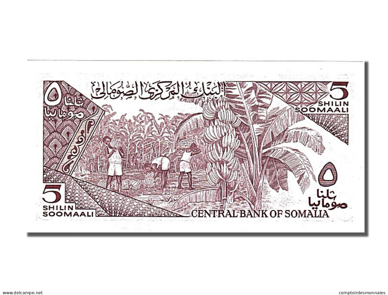 Billet, Somalie, 5 Shilin = 5 Shillings, 1987, NEUF - Somalie