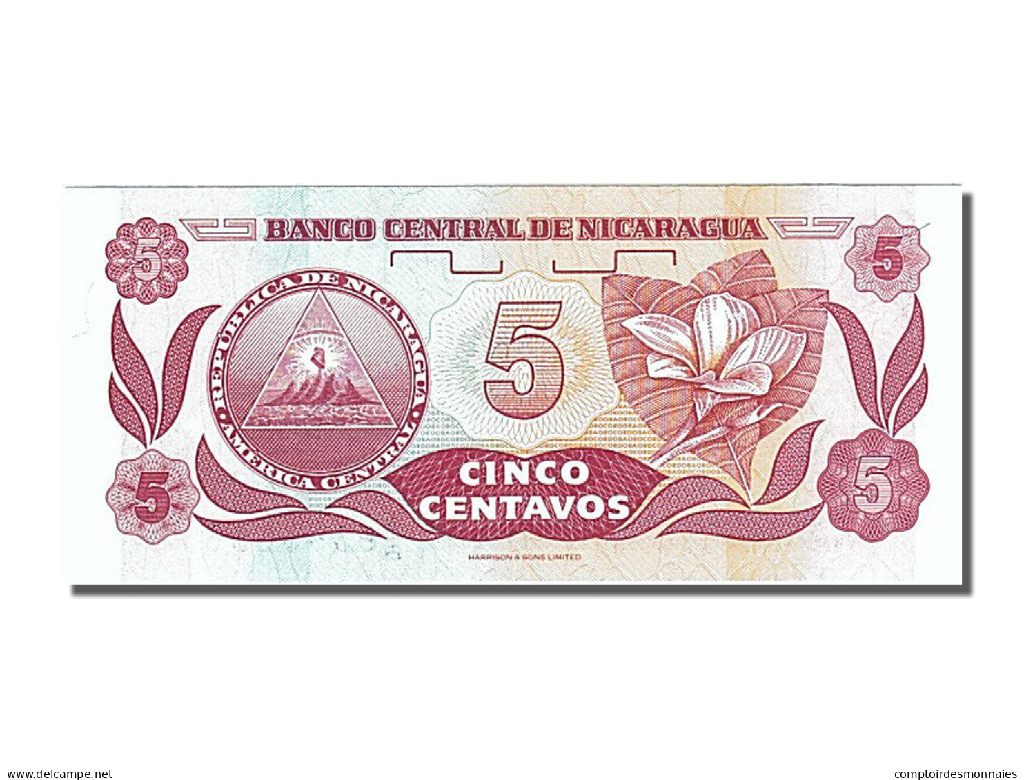 Billet, Nicaragua, 5 Centavos, 1990, NEUF - Nicaragua