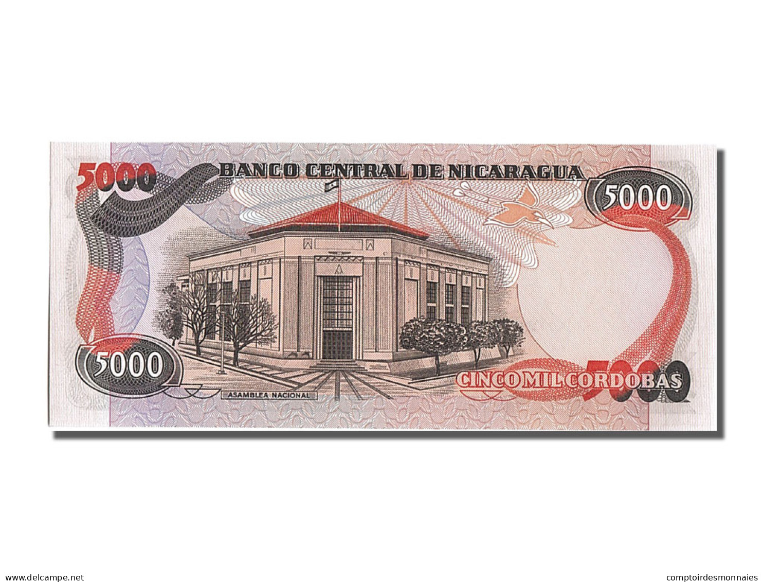 Billet, Nicaragua, 5000 Cordobas, 1985, NEUF - Nicaragua