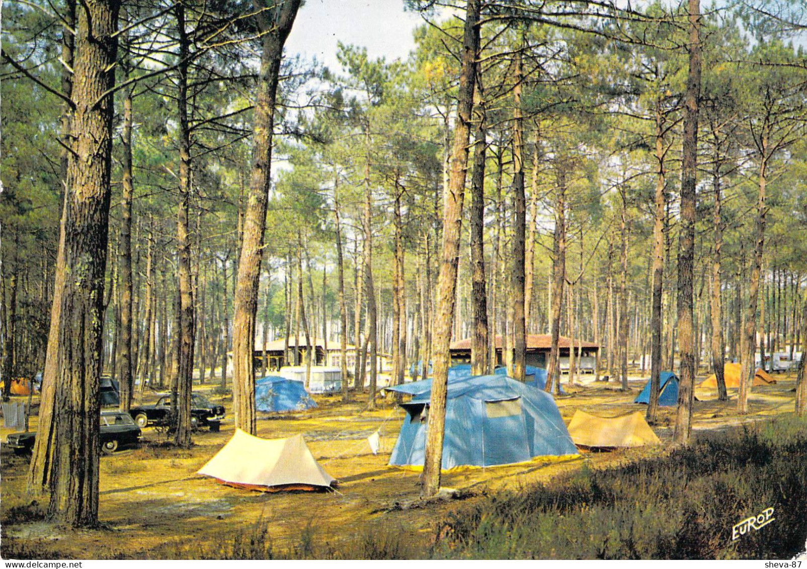 40 - Soustons - Au Bord Du Lac, Camping Municipal "L'Airial" - Soustons