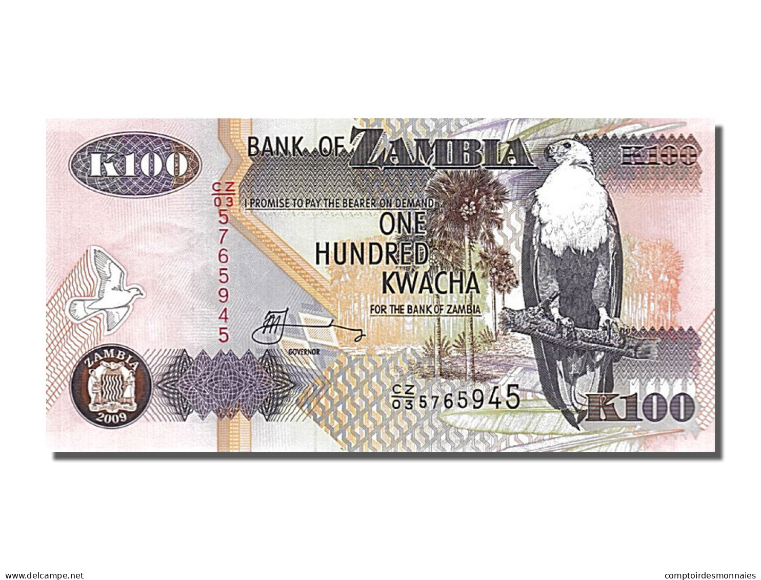 Billet, Zambie, 100 Kwacha, 2009, NEUF - Zambia