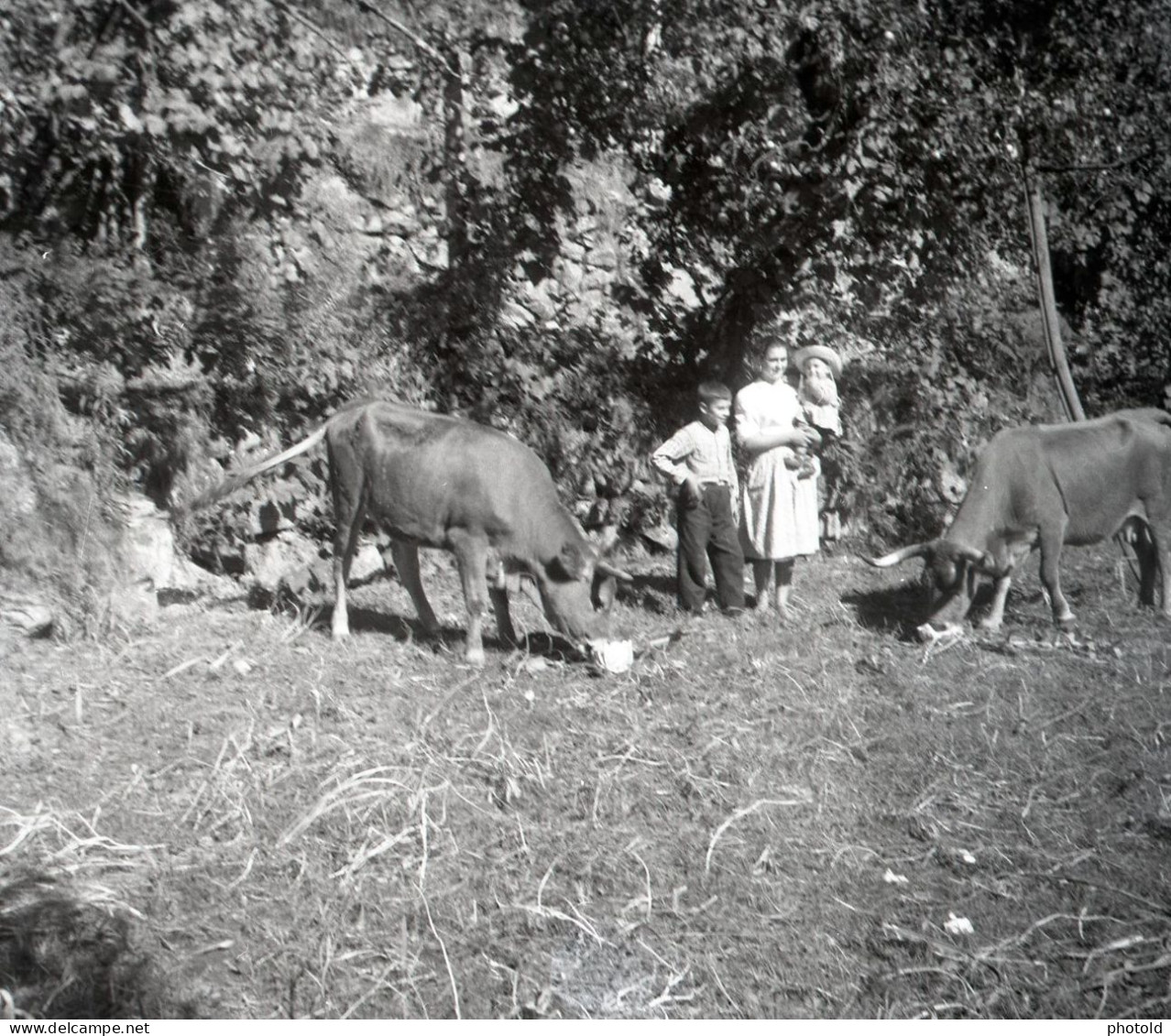 20 NEGATIVES SET 1942 BOYS GIRLS MAN WOMAN FEMME BABY PORTUGAL AMATEUR 60mm NEGATIVE NOT PHOTO FOTO