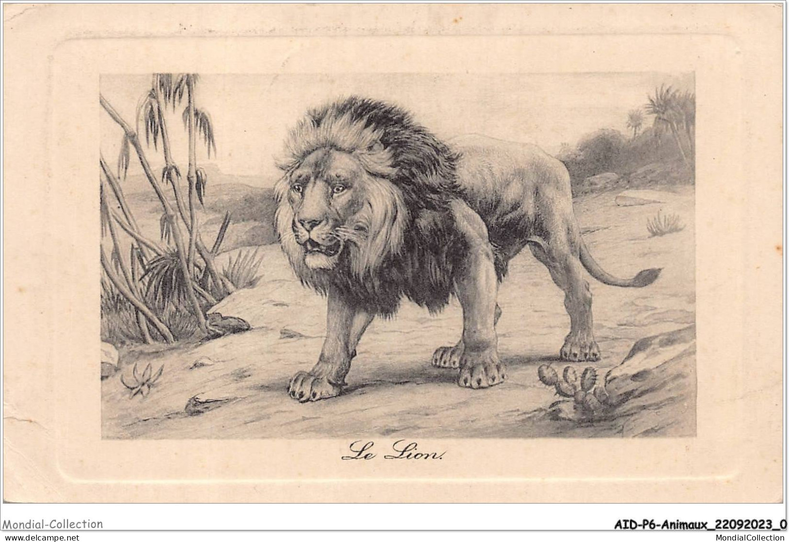 AIDP6-ANIMAUX-0477 - Le Lion  - Leoni