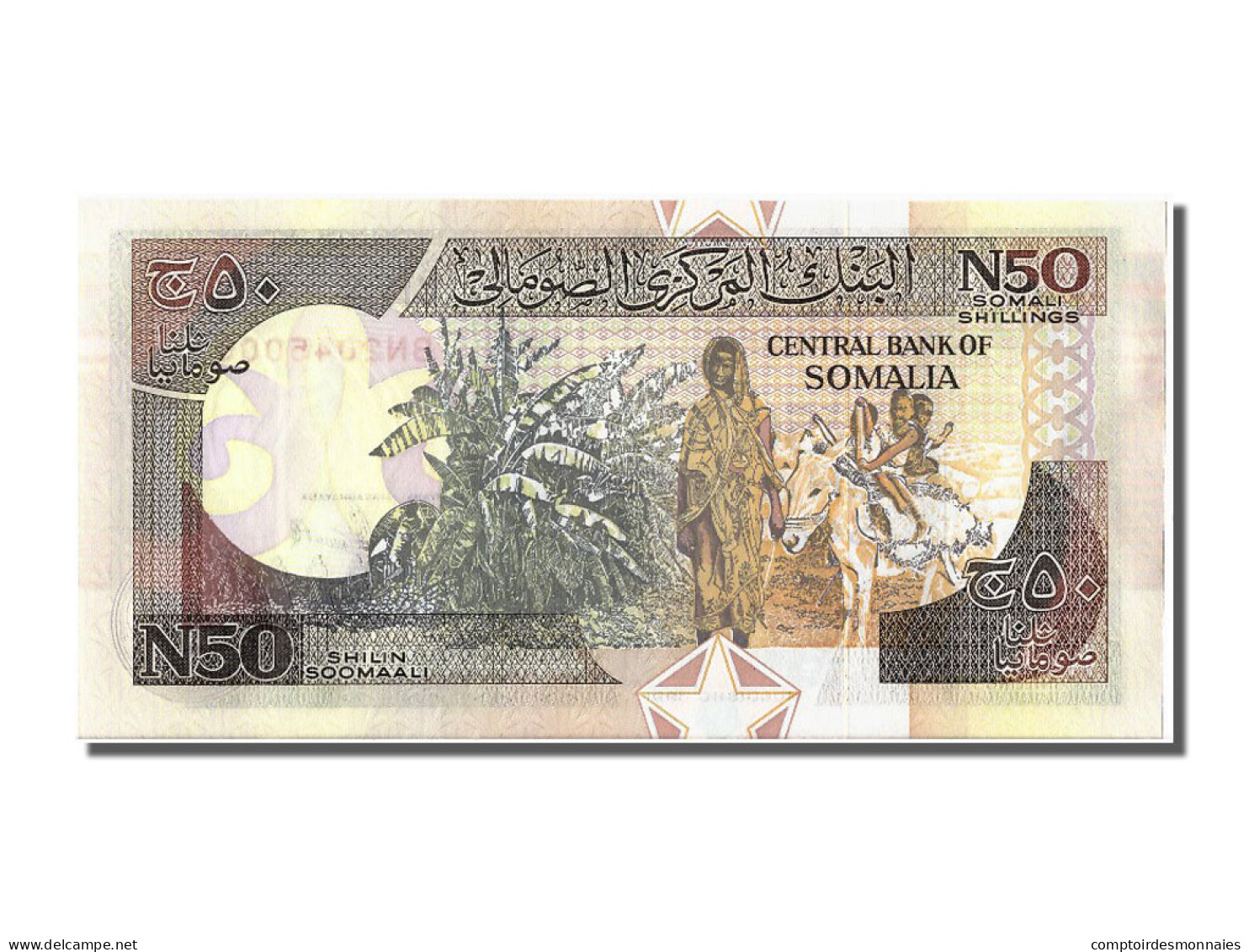 Billet, Somalie, 50 N Shilin = 50 N Shillings, 1991, NEUF - Somalië