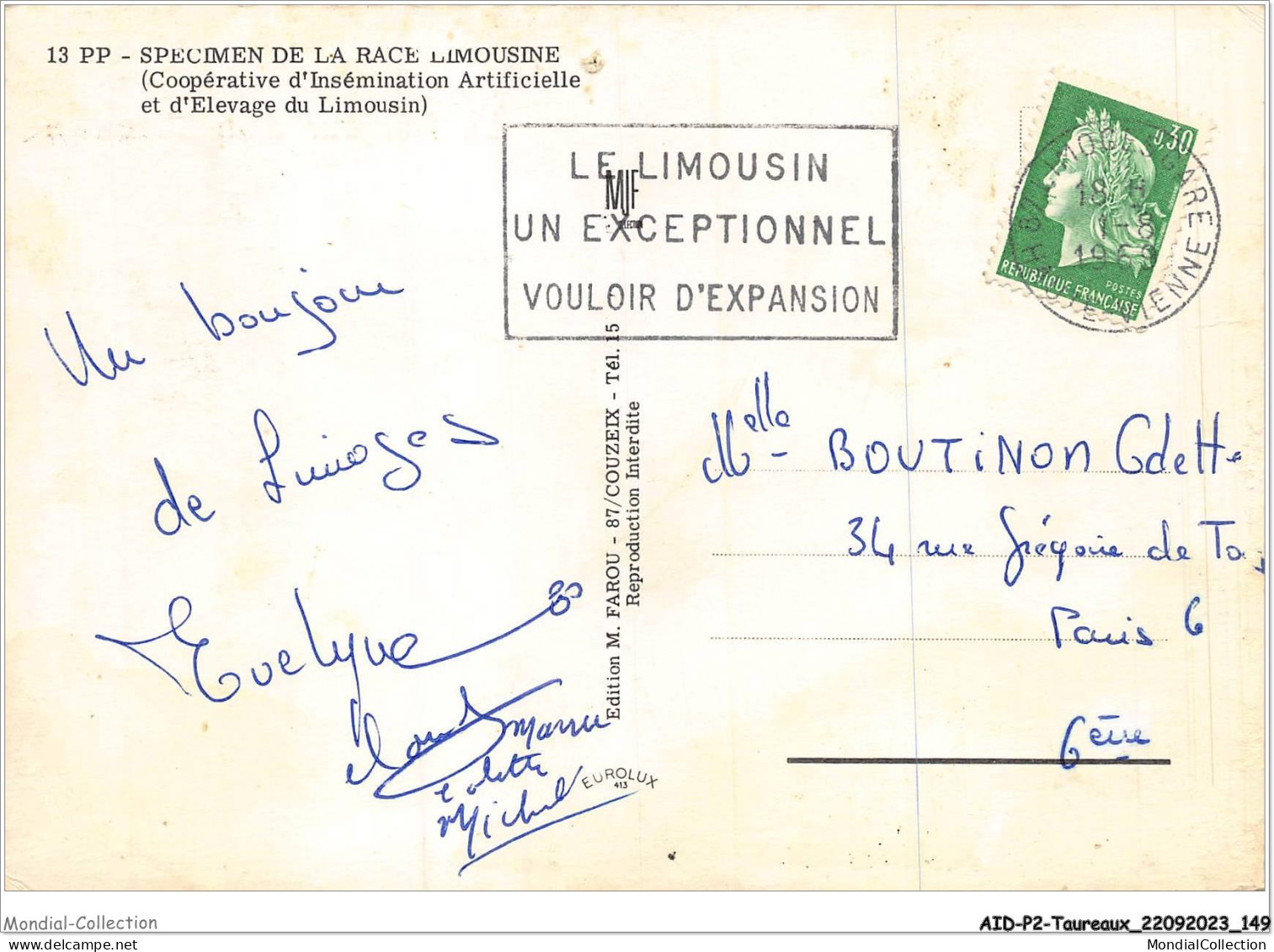 AIDP2-TAUREAUX-0148 - Le Bonjour D'un Limousin  - Taureaux