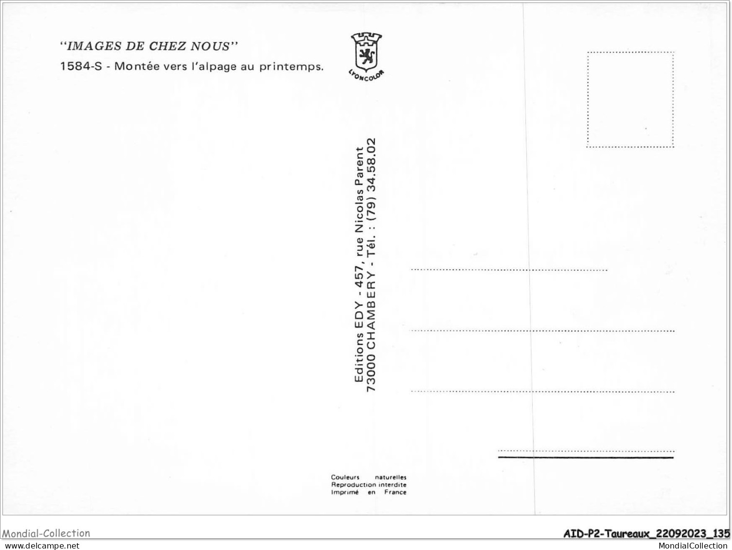 AIDP2-TAUREAUX-0141 - Images De Chez Nous - Montée Vers L'alpage Au Printemps  - Tauri