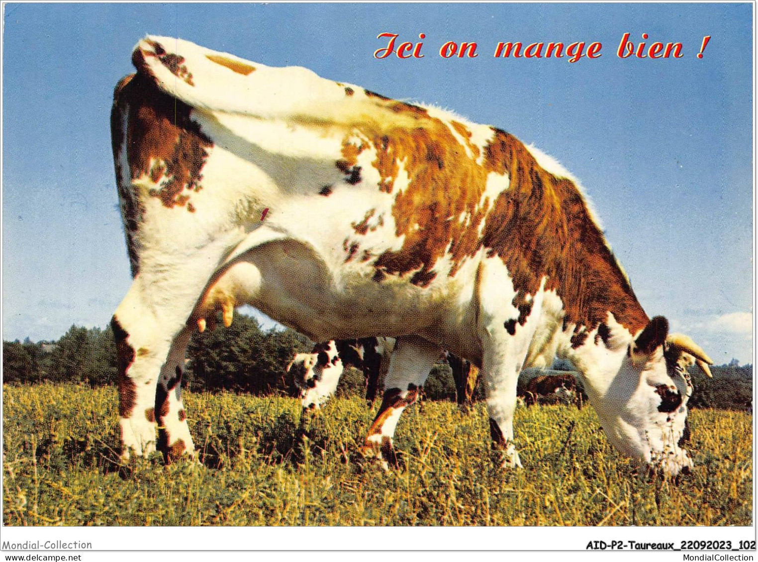 AIDP2-TAUREAUX-0125 - Ici On Mange Bien  - Bull