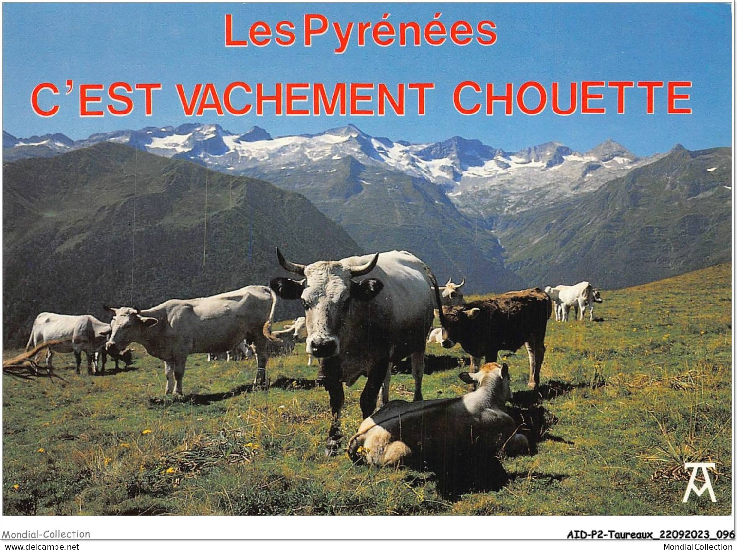 AIDP2-TAUREAUX-0122 - Les Pyrénées - C'est Vachement Chouette  - Tauri