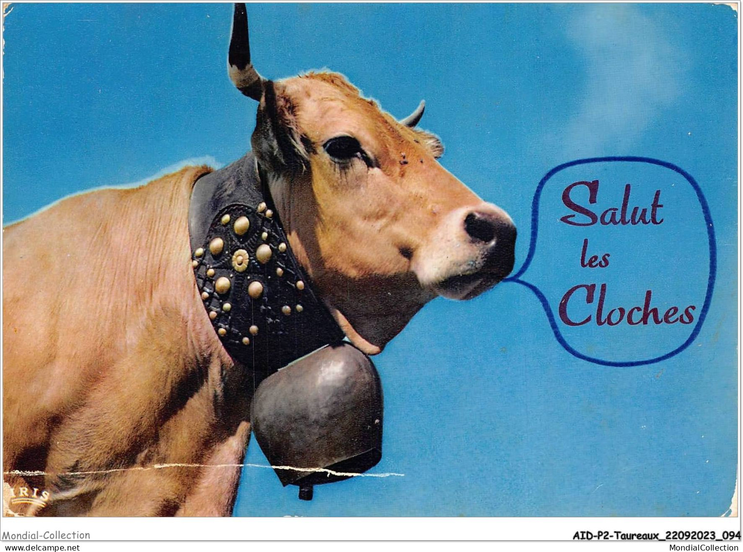 AIDP2-TAUREAUX-0121 - Salut Les Cloches  - Stiere