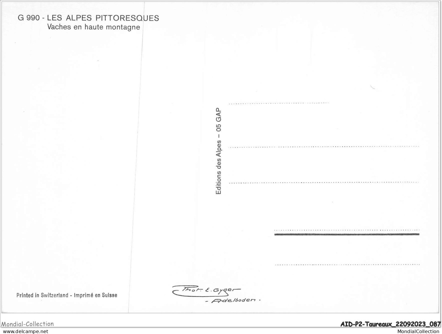 AIDP2-TAUREAUX-0117 - Les Alpes Pittoresques - Vaches En Haute Montagne  - Bull