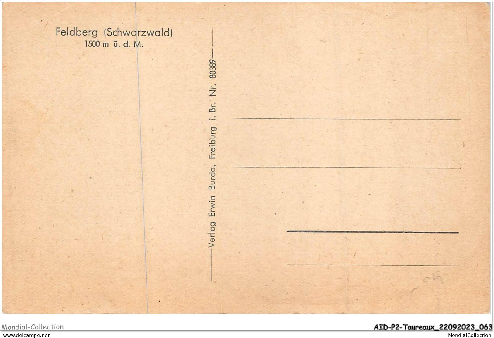 AIDP2-TAUREAUX-0105 - Feldberg - Schwarzwald  - Bull