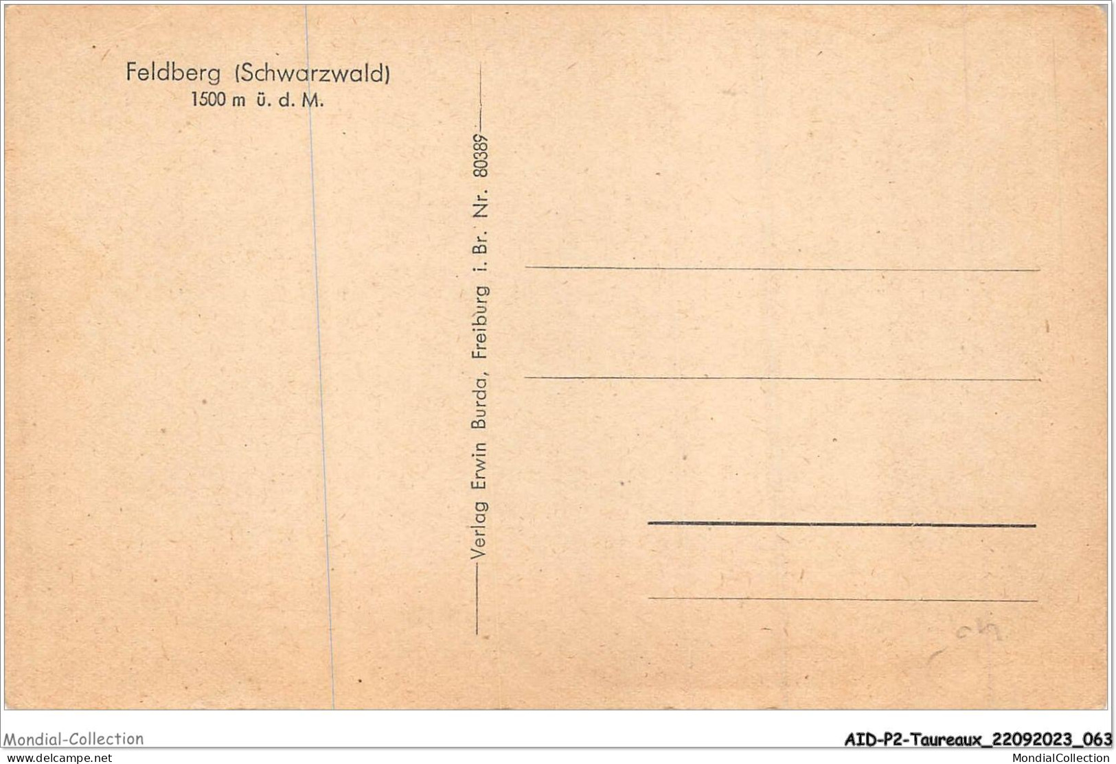 AIDP2-TAUREAUX-0105 - Feldberg - Schwarzwald  - Taureaux