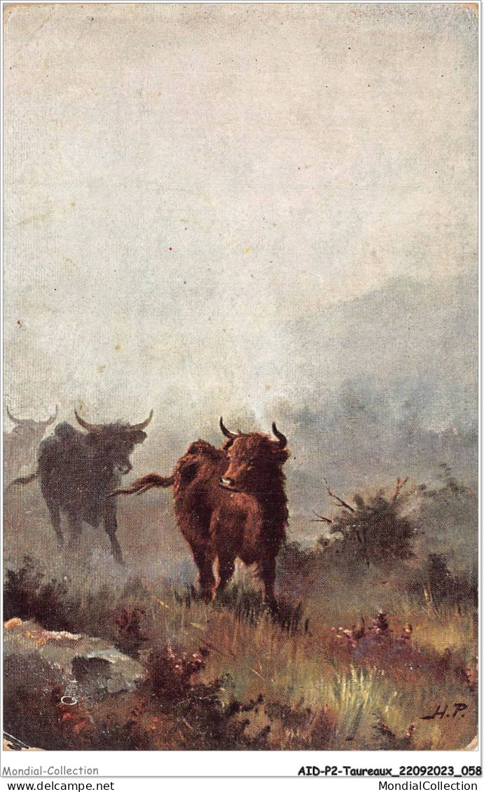 AIDP2-TAUREAUX-0103 - Cattle In The Highlands - A Misty Morning  - Toros